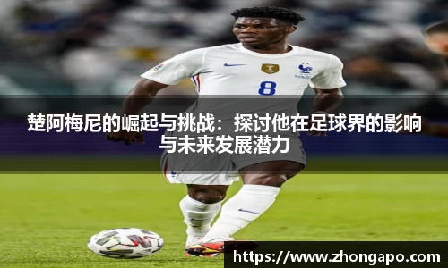 bellbet贝博官网